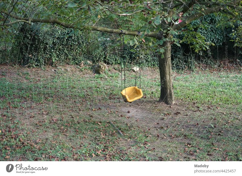 Schiefer gelber Sitz einer Schaukel am langen Ast eines Baum in einem Garten in Dogancay bei Adapazari in der Provinz Sakarya in der Türkei Kinderschaukel