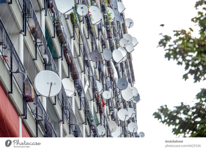 satellitenschüsseln satelitenschüssel Fernsehen Antenne Technik & Technologie Außenaufnahme Fernsehen schauen Satellitenantenne Berlin Farbfoto Fernseher Balkon