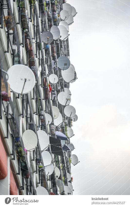 satellitenschüssel 2 Satellitenantenne Antenne Haus Fernsehen Fassade Gebäude Technik & Technologie Farbfoto Empfang Fernseher Tag Kommunizieren Außenaufnahme