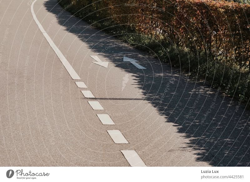 Schatten, Linien und Kontraste: Radweg mit Pfeilen in zwei Richtungen, einer von beiden liegt im Schatten einer Hecke Sonnenlicht Sonnenschein hell grell Sommer