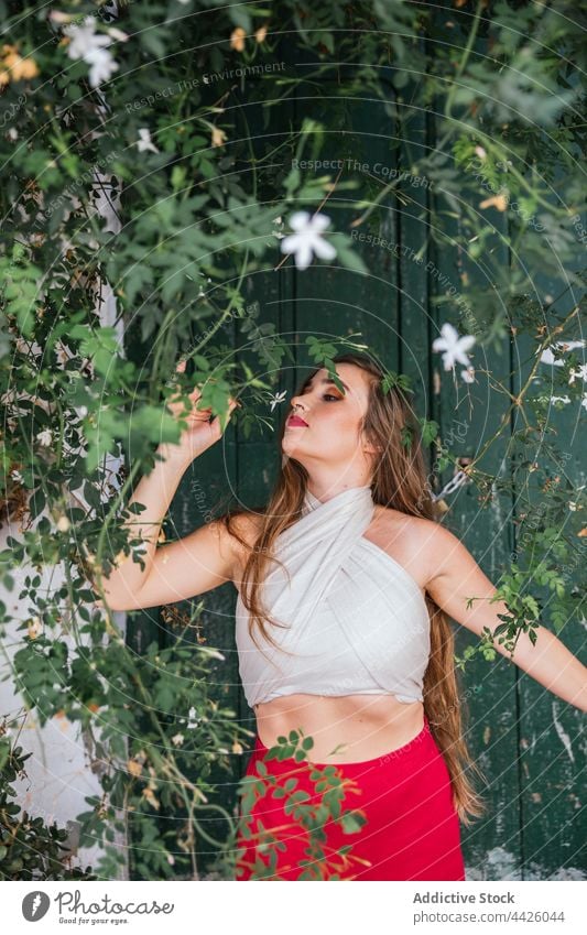 Gelassene Frau riecht an einer Blume im Garten riechen patio Aroma Wittern duftig Schniefen genießen Anmut natürlich Harmonie frisch Sommer sanft Windstille