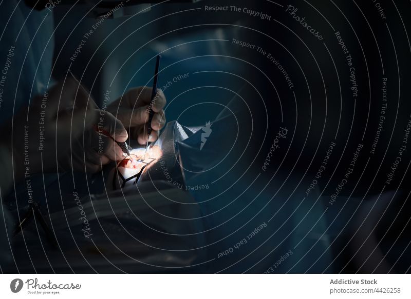 Crop-Ophthalmologe mit Werkzeugen bei der Operation des Auges eines unkenntlichen Patienten Chirurgie Genauigkeit Spezialist medizinisch professionell geduldig