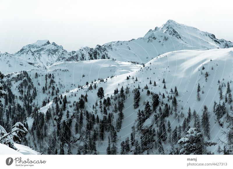 Bergwelten im Winter. Hochfeld und im Hintergrund Schiedeck. Alpen Berge u. Gebirge Natur Gipfel Schneebedeckte Gipfel Ferien & Urlaub & Reisen Schönes Wetter