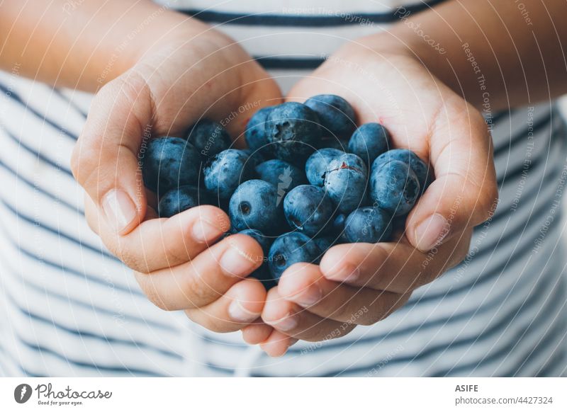 Eine Handvoll Blaubeeren in den Händen eines kleinen Mädchens Kind Beteiligung reif roh Frucht Beeren Gesundheit Snack Dessert lecker blau streifen