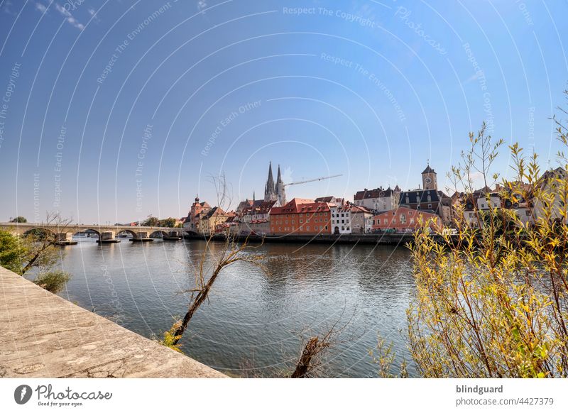 Regensburg im Sonnenschein Donau Dom Kran Sehenswürdigkeit Außenaufnahme Ferien & Urlaub & Reisen Farbfoto Sommer Deutschland Schönes Wetter Wahrzeichen