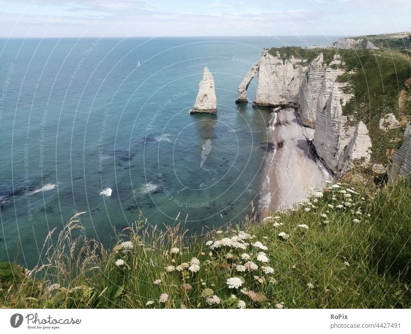 Steilküste in der Nähe von Etretat. Normandie Kanalküste Meer Fels Stein Seegang Strand beach Küste sea Frankreich france Nordsee Ozean Sandstrand Urlaub