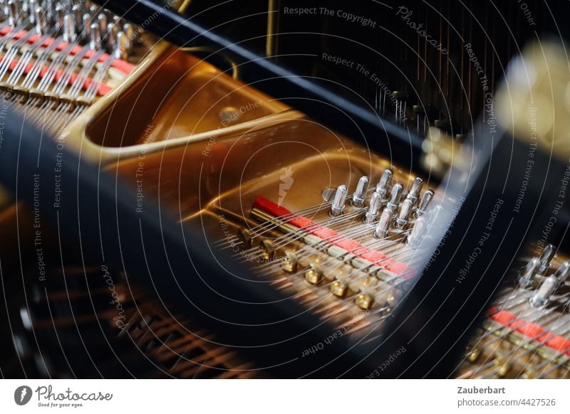 Saiten, Stimmwirbel, Stimmstock und Rahmen eines Flügels Klavier Musik glänzend Musikinstrument Klavier spielen Tasteninstrumente musizieren Detailaufnahme