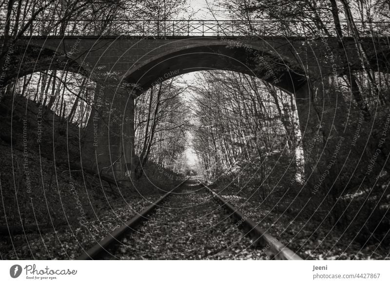 Alte Bahnschienen im Wald Bahnstrecke Bahnanlage Schienenverkehr Schienennetz Eisenbahn Gleise Verkehr Verkehrswege Menschenleer verlassen Waldlichtung