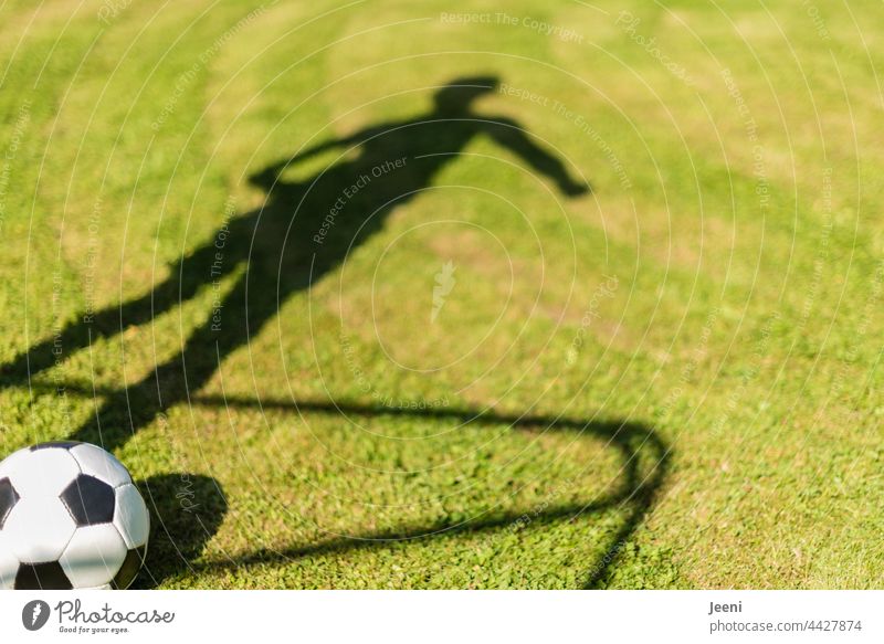 Schattenspiel mit Ball Fußball Fußballplatz Fußballtor Tor Ballsport Beine Körper sportlich Sportler Fußballer Fußballtraining Mensch Junge Schattenwurf grün