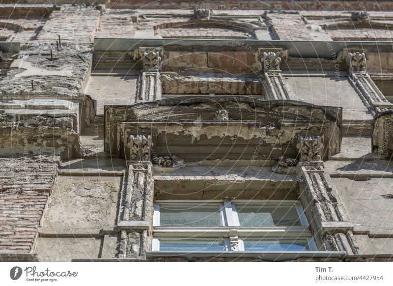 Blick nach oben an einer alten Fassade mit Fenstern in Berlin Altbau Prenzlauer Berg Stadt Stadtzentrum Hauptstadt Menschenleer Altstadt Haus Tag Gebäude