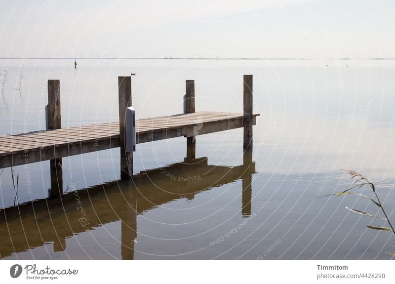 Mit Anlauf ins Wasser? Nein, schauen, hören... Steg Fjord Holz Spiegelung Ruhe Besinnung Stille Horizont Natur Landschaft Reflexion & Spiegelung Idylle