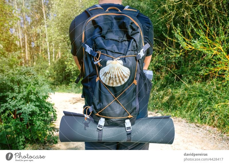 Unbekannter Jakobspilger auf dem Jakobsweg von hinten unkenntlich Mann Pilger heiliger jakobusweg Rucksack Panzer Jakobsmuschel Unterlage Trekking Spaziergang