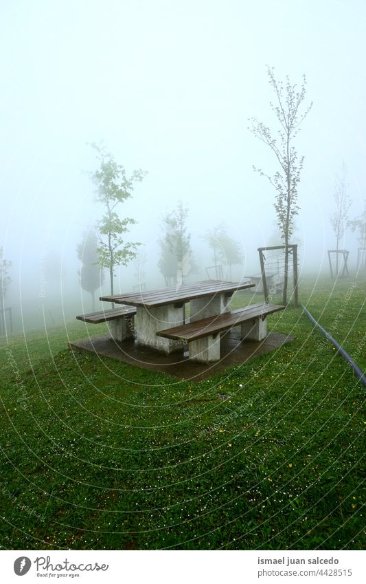 Holzbank in den Bergen an nebligen Tagen Berge u. Gebirge Wald Nebel Herbst Winter stimmungsvolle Atmosphäre launisches Wetter Bank hölzern Park im Freien