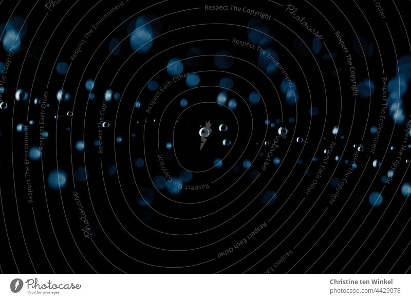 Magisch glitzern sie, Tautropfen im Spinnennetz, sind zum Träumen schön... Netz Wassertropfen Tropfen abstrakt Hintergrundbild nass Regen Makroaufnahme Natur