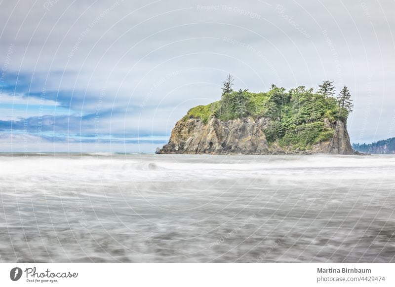 Ruby Beach an der Westküste, Olympic National Park, Washington olympisch Strand Rubin Ruhe Langzeitbelichtung Ufer Natur Washington State Meer Küste Wasser