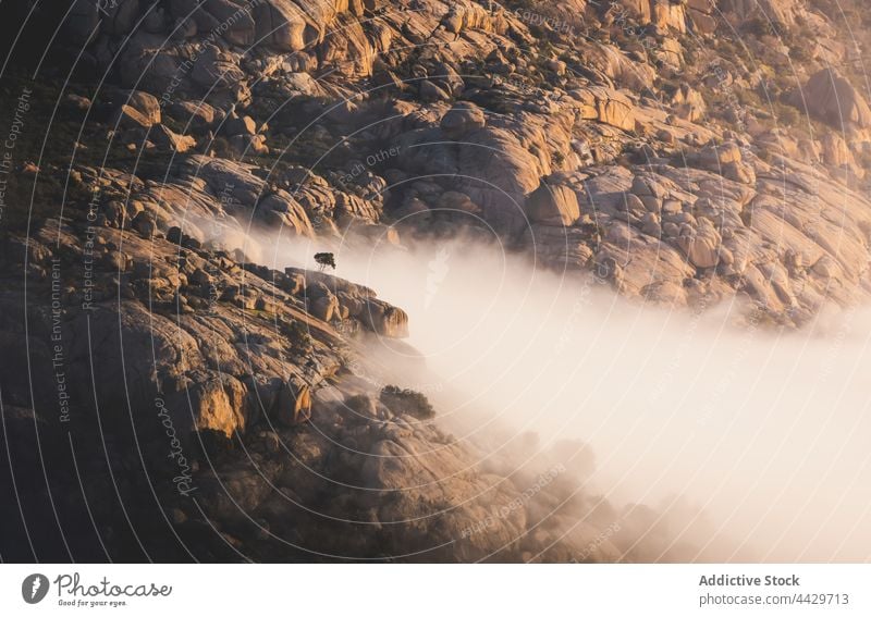 Nebel zwischen Bergrücken und Felsen in der Morgendämmerung Berge u. Gebirge Ambitus Felsbrocken Baum Himmel pedriza Natur diffus Air Umwelt Ökologie Landschaft