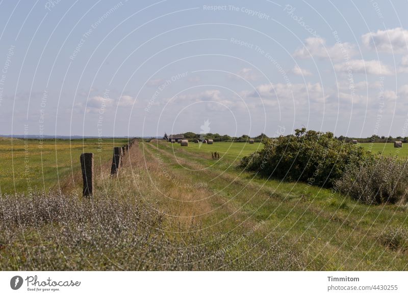 Ruhiger Augenblick Landschaft Feld Zaunpfosten Wiese Gebüsch Heuballen Horizont Himmel Wolken Schönes Wetter Dänemark Menschenleer Landwirtschaft Fjord