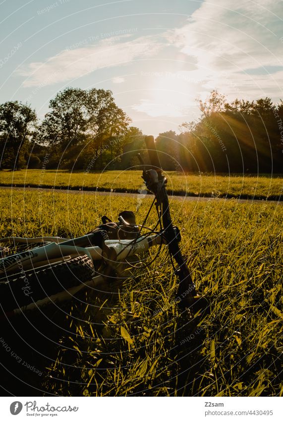 Mountainbike liegt auf bei Sonnenuntergang auf der Wiese reise rad mountainbike fahrrad sport erholung bewegung freizeit sonnenuntergang sommer licht