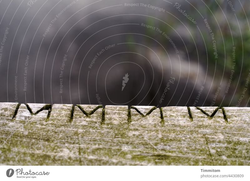 M M M M in Holzgeländer Buchstaben hölzern Geländer Fjord Wasser Menschenleer Farbfoto Detailaufnahme Natur Dänemark