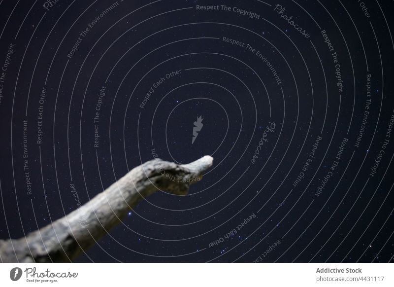 Ast eines Baumstumpfes vor dem Sternenhimmel Nacht leuchten Licht Weltall Schmuckkörbchen Hängerolle Galaxie Astronomie Treibholz sternenklar dunkel glühen