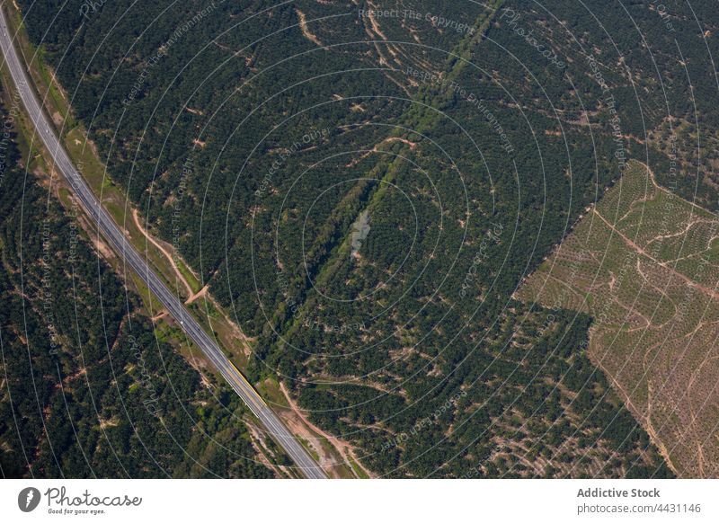 Glatte Straße durch grünen, üppigen Wald PKW Laufwerk Natur Umwelt Regie Flora Landschaft Route Laubwerk Fahrzeug Asphalt Gelände pflanzlich Waldgebiet Wälder