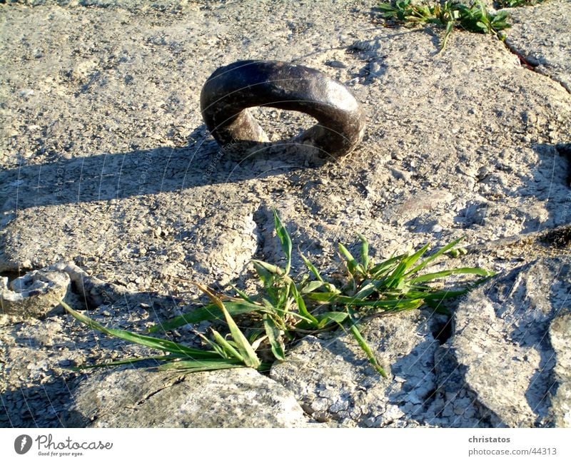 Stahlring mit Grün Eisen Metallring Gras grün Beton labil Kreis Stein Natur