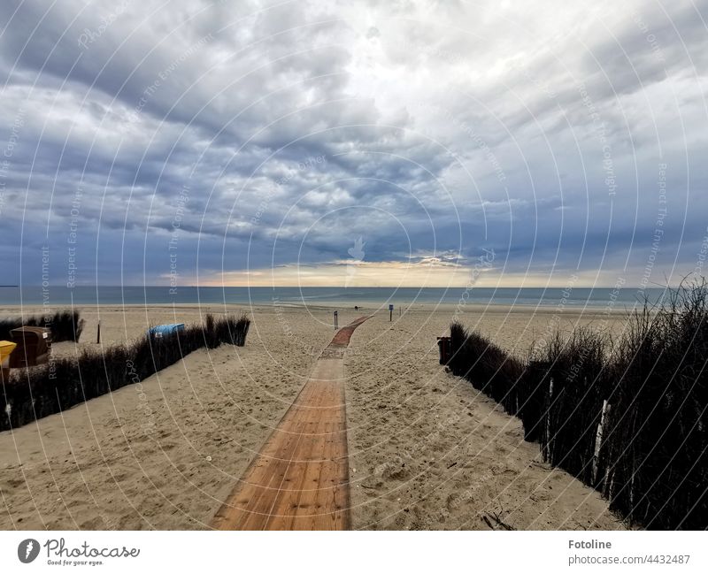 Der Weg ins Licht am Horizont. Strand Meer Sand Wasser Sommer Ferien & Urlaub & Reisen Küste Himmel Ferne blau Menschenleer Außenaufnahme Tag Insel Binsen