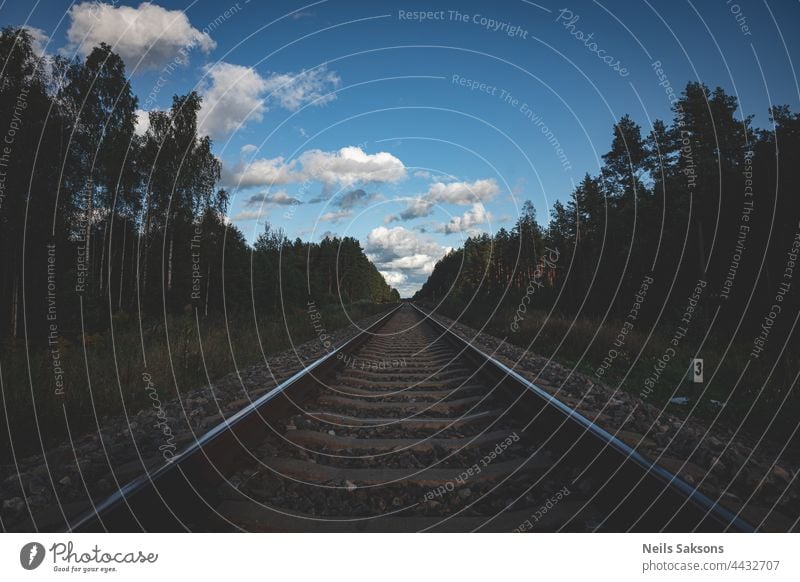 Eine gerade Bahnstrecke im Grün des Waldes. Schöne Landschaft mit blauem Himmel und weißen Schäfchenwolken. Gutes Licht, unterbelichtet. Nummer drei auf der Eisenbahnstrecke