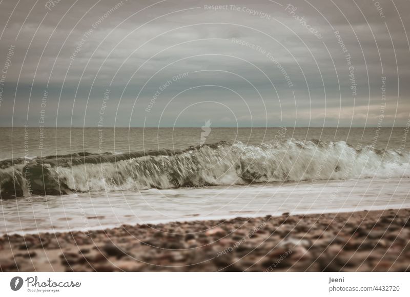 Welliges Meer Küste Wellen Sog Wasser Strand stürmisch Sturm Brandung Sand Himmel Horizont Ostsee Wetter Mecklenburg-Vorpommern Schleswig-Holstein Wellengang