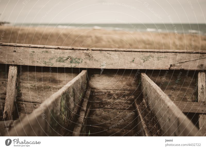 Schiffbrüchig mit einem Boot aus Holz am Strand schiffbrüchig Meer Küste Sand Nordsee Ostsee Ozean ufer alt marode Schiffbruch Unglück Seenot Wellen Wasser