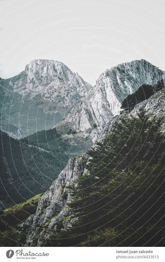 Berge in der Herbstzeit in Bilbao, Spanien Berge u. Gebirge Bäume Wald Natur Landschaft im Freien Ansicht Hügel reisen Ort Ausflugsziel Ruhe Gelassenheit Stille