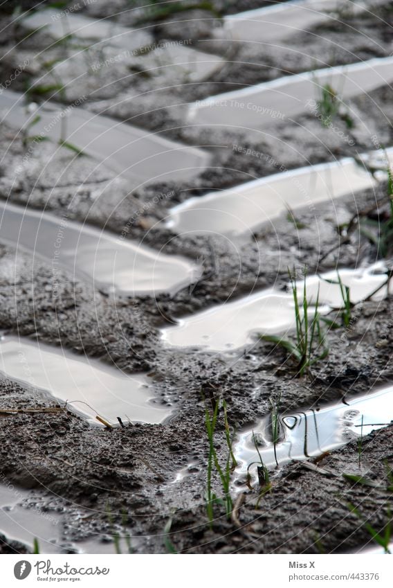 Matschweg Erde Wasser schlechtes Wetter Regen Wege & Pfade dreckig nass braun matschig Schlamm Autoreifen Spuren Reifenspuren Fußweg Farbfoto Gedeckte Farben