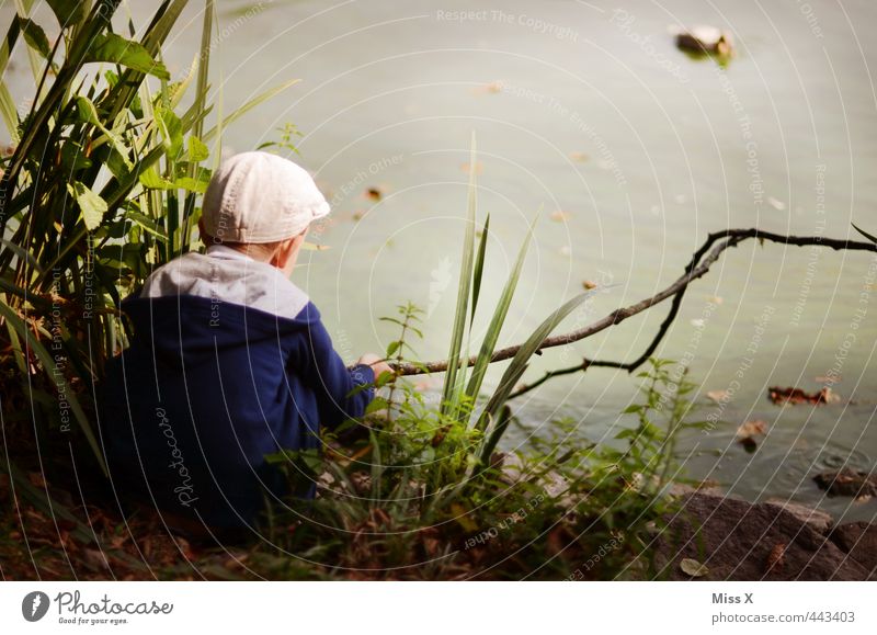 Liebling Freizeit & Hobby Spielen Angeln Kinderspiel Mensch Junge Kindheit 1 3-8 Jahre Natur Sträucher Park Küste Teich See sitzen warten niedlich Stimmung