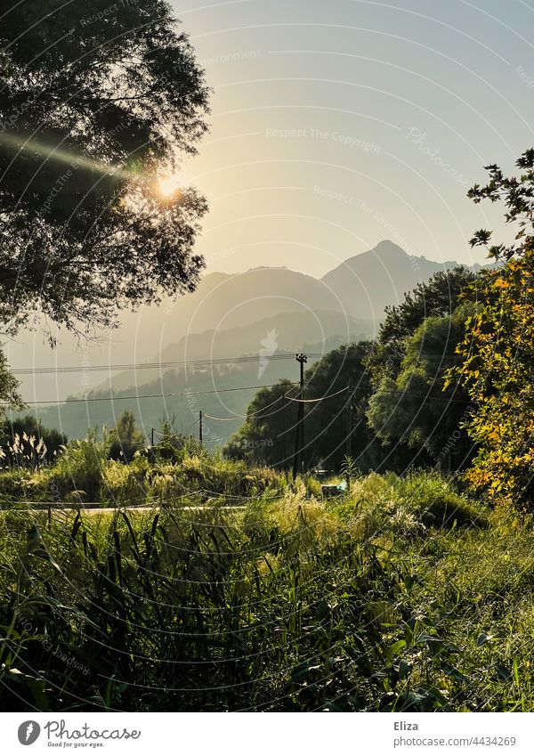 Landschaft, Wiese, Bäume und Berge in der Abendsonne Gegenlicht Sonnenlicht Natur Sonnenschein Idylle warm Sonnenstrahlen Schönes Wetter