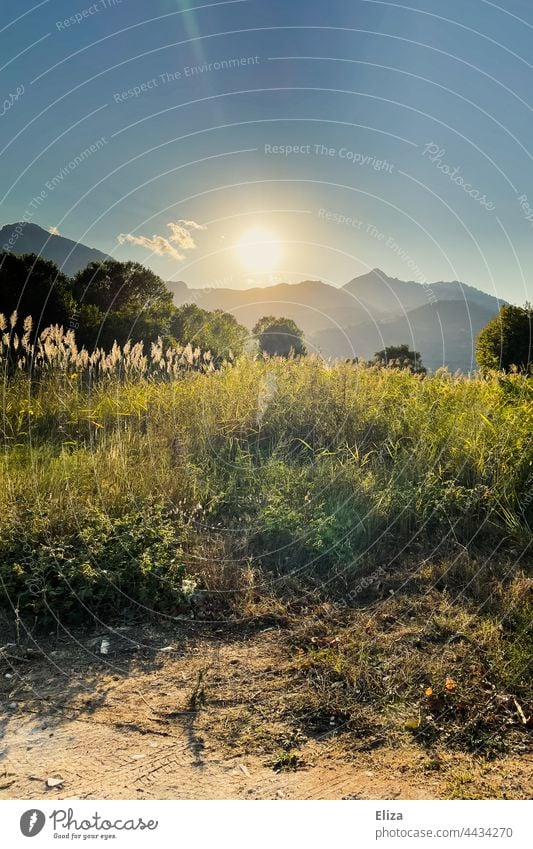 Landschaft, Wiese, Bäume und Berge in der Abendsonne Gegenlicht Sonnenlicht Natur Sonnenschein Idylle warm Sonnenstrahlen Schönes Wetter