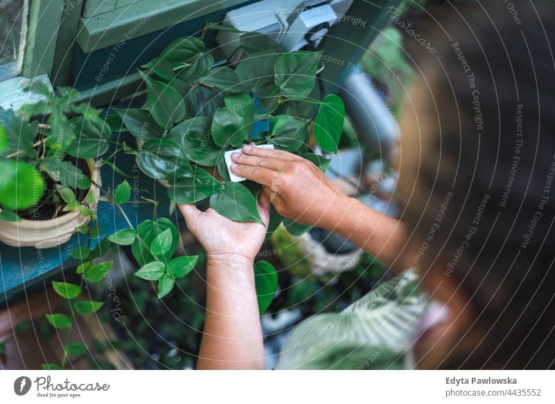 Frau wischt Staub von Pflanzenblättern Pflege Wischen Staubwischen aufpassend Hand Blume Garten Natur Gartenarbeit Blumen Baum Menschen Hände Blatt Schönheit