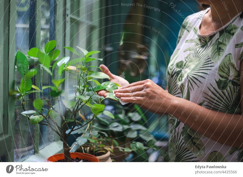 Frau wischt Staub von Pflanzenblättern Pflege Wischen Staubwischen aufpassend Hand Blume Garten Natur Gartenarbeit Blumen Baum Menschen Hände Blatt Schönheit