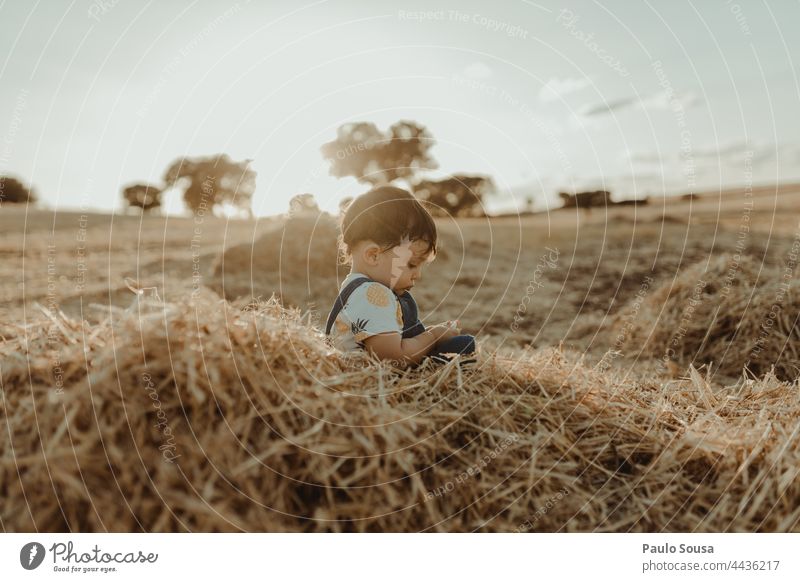 Kind spielt mit Heu Kindheit Junge 1-3 Jahre Kaukasier Seitenansicht Sommer Sonnenlicht Außenaufnahme Kindheitserinnerung Spielen Tag Farbfoto Mensch Kleinkind