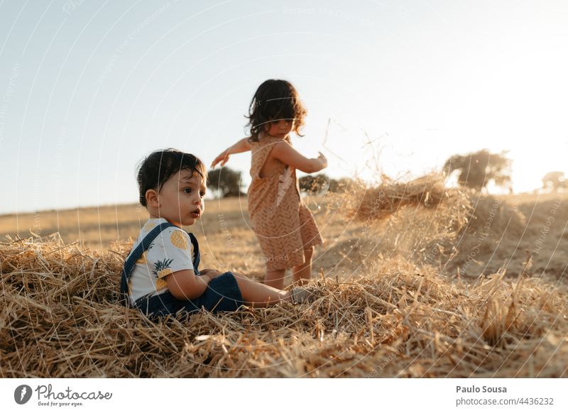 Bruder und Schwester spielen mit Heu Geschwister Familie & Verwandtschaft Sommer Spaß haben 1-3 Jahre Kaukasier Kind Kindheit Farbfoto Mensch Kleinkind