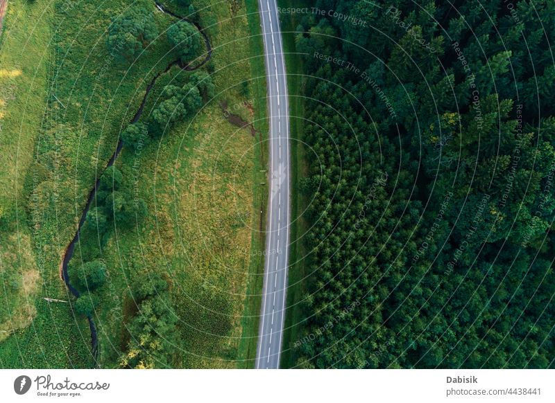 Auto auf Straße durch Kiefernwald, Luftaufnahme Wald PKW Ausflug Natur grün Antenne Abenteuer reisen Landschaft Baum im Freien Weg oben schön Park Fernstraße