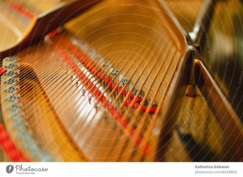 Blick in einen Flügel Ensemble flügel kammermusikfestival klavier Musik musikprobe Klavier saiten musikinstrument Instrument Keyboard