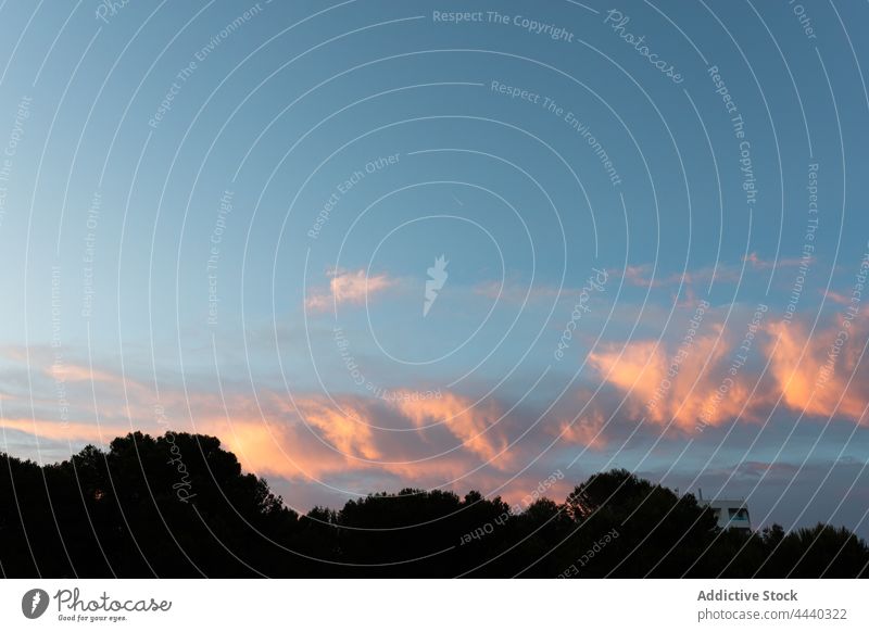 Überwucherte Baumsilhouetten unter bewölktem Himmel bei Sonnenuntergang Silhouette wolkig Blauer Himmel Natur Landschaft Umwelt Atmosphäre Air Gebäude Ökologie