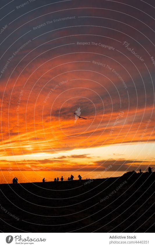 Reisende Silhouetten betrachten das Meer vom Strand bei Nacht Himmel wolkig Abenddämmerung Reisender Natur Meereslandschaft Landschaft Ufer MEER glänzend Sonne