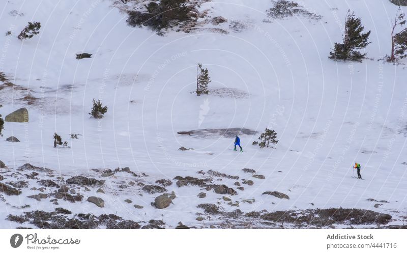 Skiläufer beim Langlauf in den Bäumen Berge u. Gebirge Schnee Berghang Baum Landschaft Umwelt Winter Kamm kalt Natur Saison Wald Sonne ruhig Ambitus Hügel