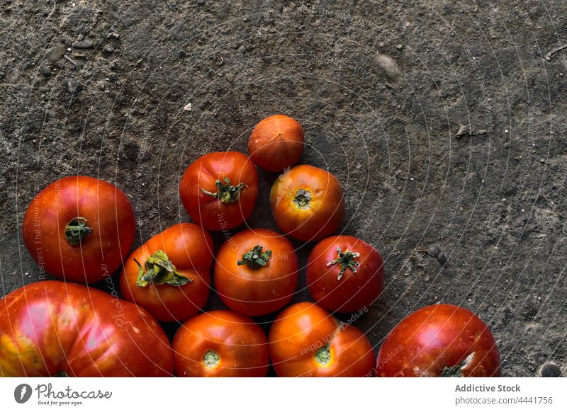 Nahaufnahme eines Stapels roter Tomaten auf dem Boden Pflanze Ackerbau Land Natur Gemüse Feld organisch Wachstum Bauernhof Lebensmittel Garten Saison wachsend