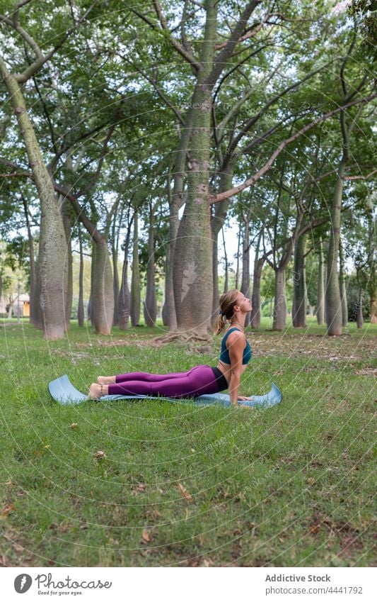 Flexible Frau macht Upward Facing Dog Asana auf Yoga-Matte im Park üben Gleichgewicht Harmonie Wohlbefinden urdhva mukha shvanasana nach oben gerichteter Hund