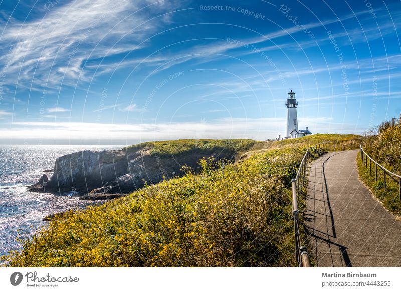 Der historische Yaquina Head-Leuchtturm, Newport Oregon USA newport Yaquina-Kopf pazifischer Nordwesten Küste von Oregon yaquina head leuchtturm Landschaft