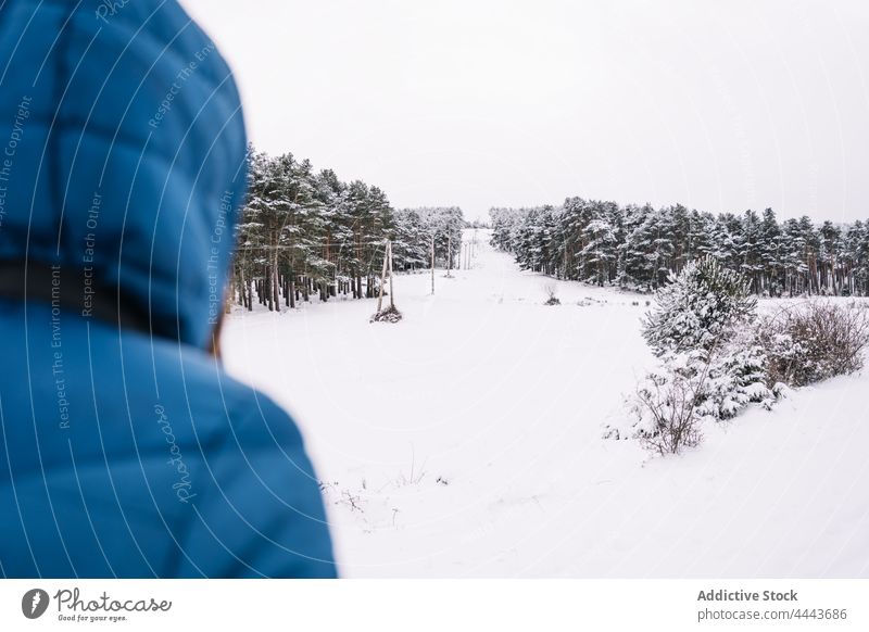 Frau steht auf verschneitem Gelände mit immergrünen Bäumen Wald Schnee Winter Natur Baum Umwelt kalt Tal bewundern Wälder nadelhaltig Oberbekleidung Waldgebiet