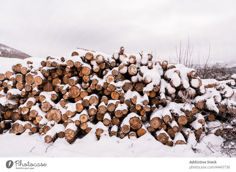 Stapel von Baumstämmen auf verschneitem Boden Totholz Haufen Brennholz Nutzholz Winter Schnee Natur Ressource Industrie Holz wolkig Umwelt kalt Hügel