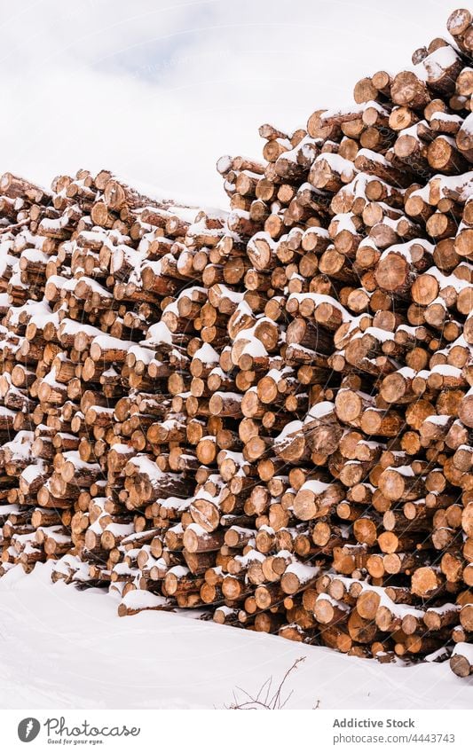 Stapel von Baumstämmen auf verschneitem Boden Totholz Haufen Brennholz Nutzholz Winter Schnee Natur Ressource Industrie Holz wolkig Umwelt kalt Hügel